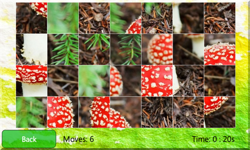 Nature And Mushrooms Puzzle