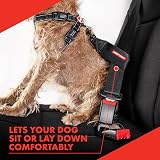 EzyDog Dog Seat Belt Car Restraint Harness UK Universal Rule 57 view 5