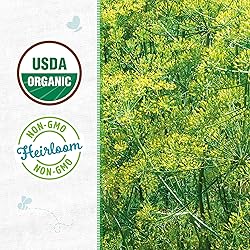 Back to the Roots 100% Organic Seed Packet - Dill