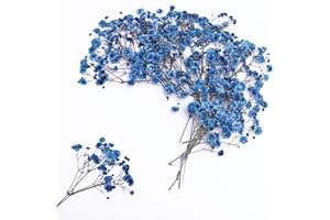 LYFORTZY 30 PCS Sapphire Blue Dried Pressed Baby's Breath Flower +1PCS Tweezers.Small Flower Branches 2-4 Inches Long.Real Dried Pressed Flowersr .for Making Blessing Card/Resin Art/ DIY Candle Decor.