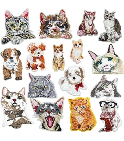 Amazon.com: El Gato Cute Cat Foto Patch Animal Sweet Kitten