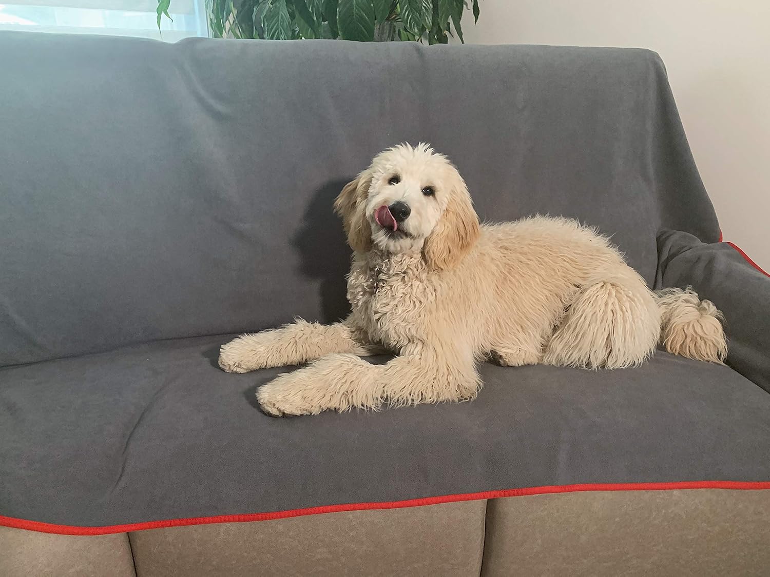 TOP Waterproof Blanket - Keeps Everything 100% Dry - No Matter How Wet It Gets! Deluxe Bed Mattress and Furniture Protector for People and Pets, Soft Fleece (Red Gray Reversible, Jumbo 80x60): Home & Kitchen