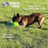 Wobble Wag Giggle Allstar Innovations Ball Dog Toy - Interactive No Batteries view 4