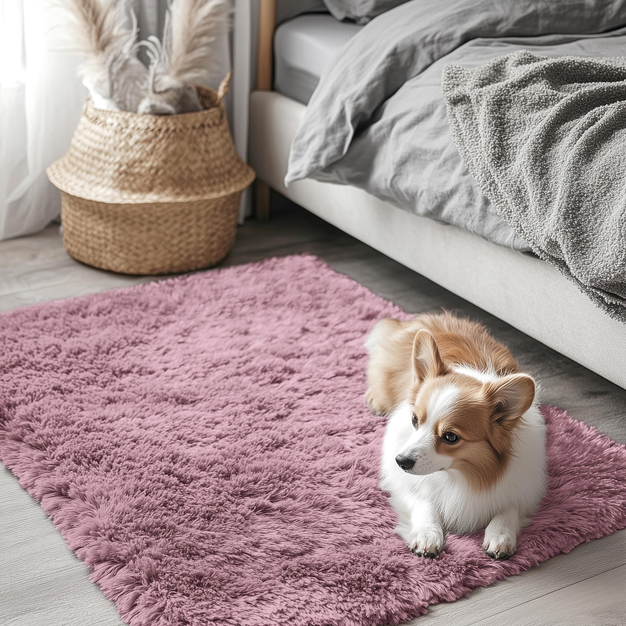 Photo 1 of OLANLY 2x3 Machine Washable Small Bedside Rug, Soft Fluffy Shaggy Entryway Throw Rugs for Bedroom, Living Room, Indoor Floor Carpet for Kids Girls and Boys, Nursery Rooms, Home Decor Aesthetic, Blush