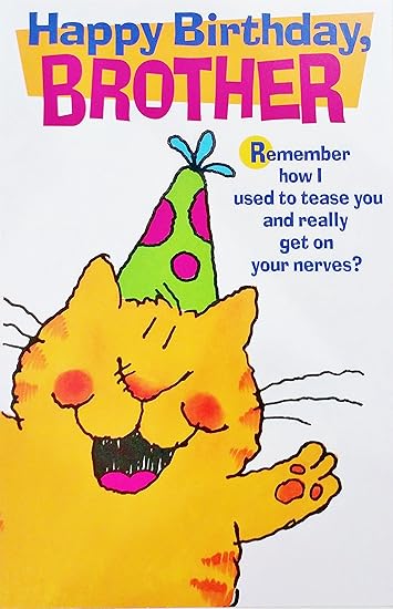 Amazon Com Happy Birthday Brother Funny Humor Greeting Card