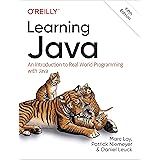 Learning Java: An Introduction to Real-World Programming with Java