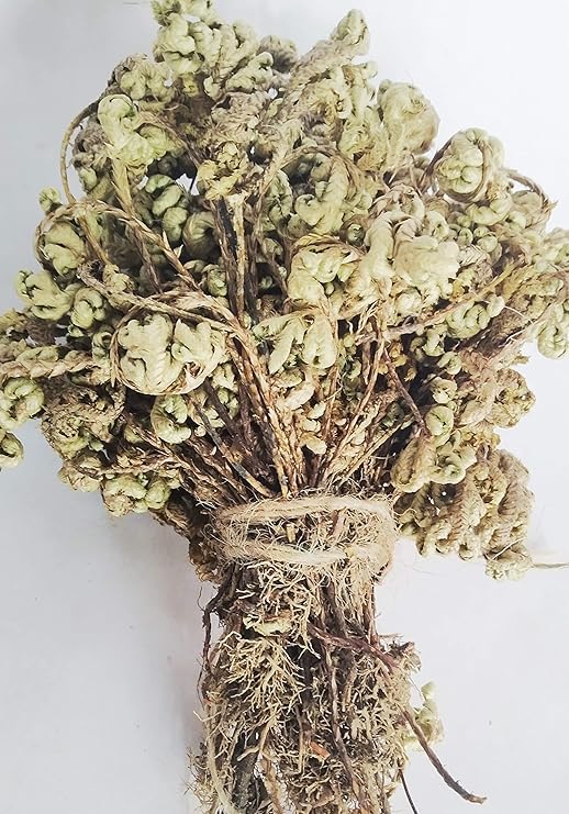 Rameshvar Enterprises Lakshman Booti Sanjeevani Booti