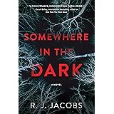 Somewhere in the Dark: A Novel
