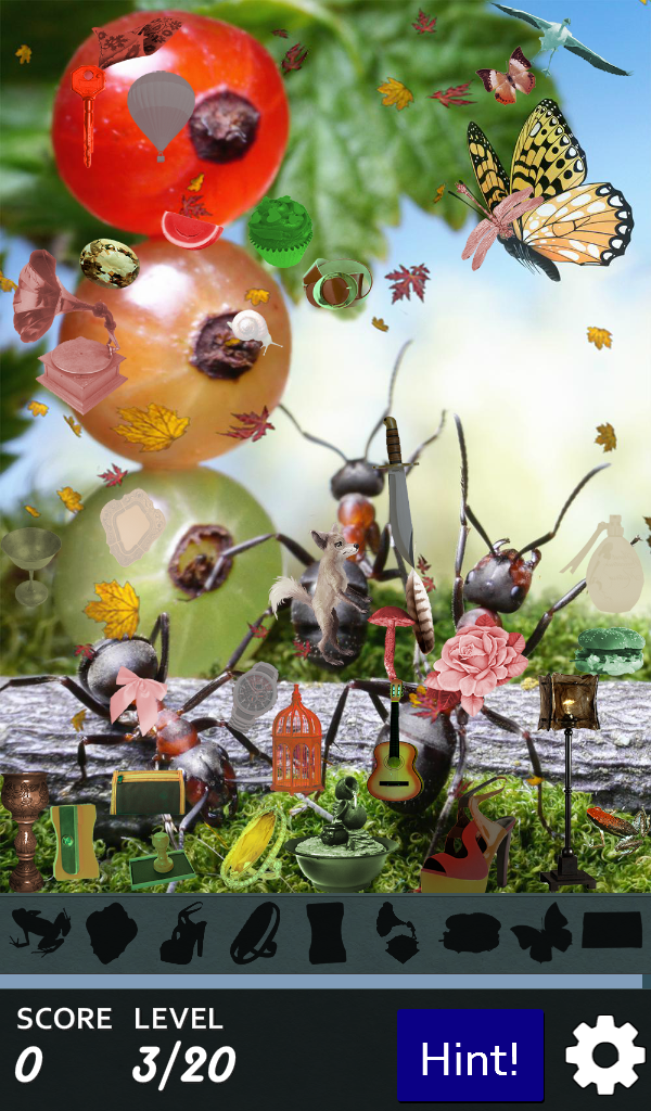 Hidden Object - Ant Farm