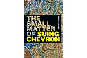 The Small Matter of Suing Chevron