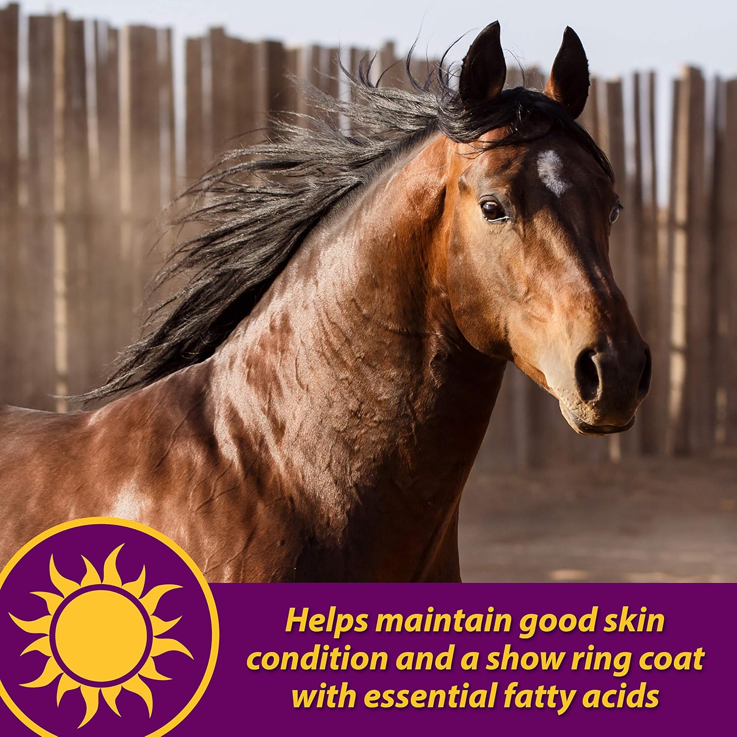 Horse Health Joint Combo Hoof & Coat, convenient 3-in-1 supplement for complete joint, hoof and coat care, 8 pound : Pet Supplements And Vitamins : Pet Supplies