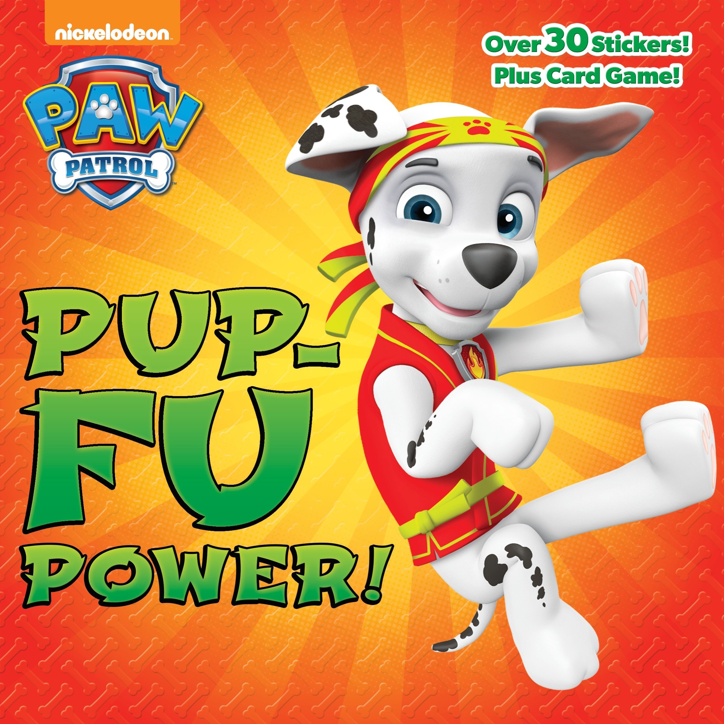 Pup-Fu Power! (Paw Patrol): Amazon.co 