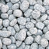 Zierkies kaufen Zierkies kaufen