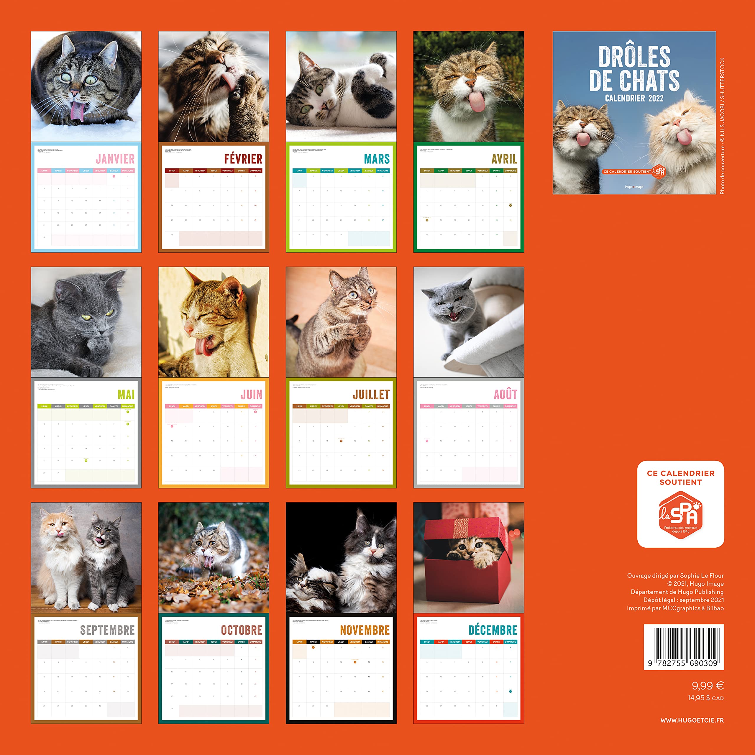 Calendrier Mural Droles De Chat 2022 Collectif 9782755690309 Amazon Com Books