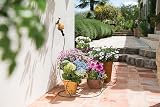 Hozelock Manual Countdown Timer for Watering, Easy Setup 5-120 Min view 3