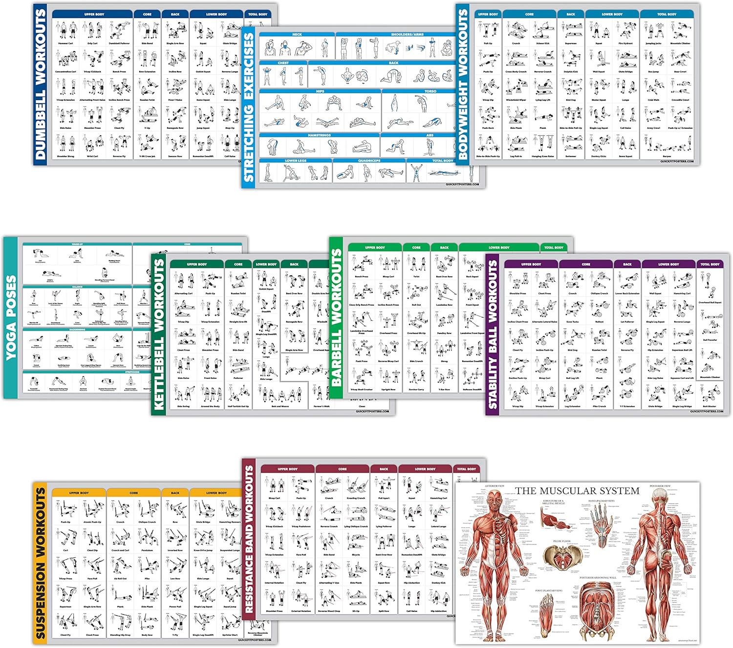 10 Pack - Exercise Workout Poster Set - Dumbbell, Suspension, Kettlebell, Resistance Bands, Stretching, Bodyweight, Barbell, Yoga Poses, Exercise Ball, Muscular System Chart (LAMINATED, 18" x 27") : Sports & Outdoors