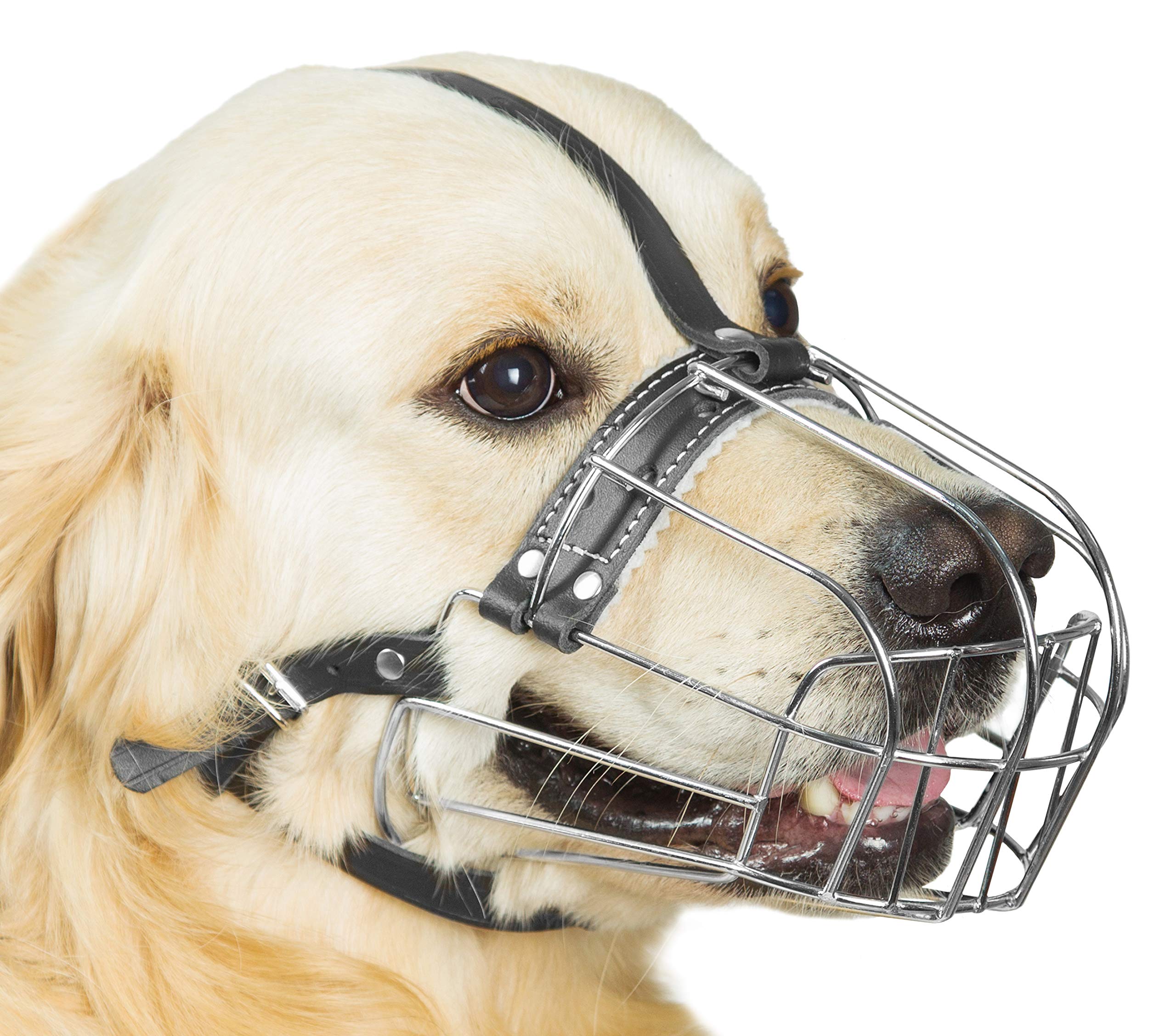 Dog Chrome Metal Muzzles Wire Basket Adjustable Leather Straps (№6) Circumference is 13-13.8 in, Length is 3.9-4.3 in - Dog Muzzle for Labrador Retriever