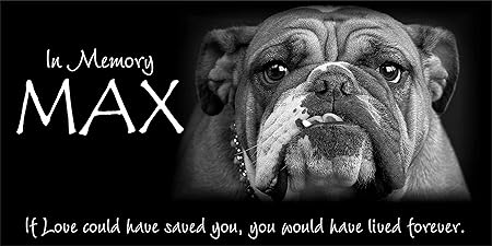 american bulldog memorial