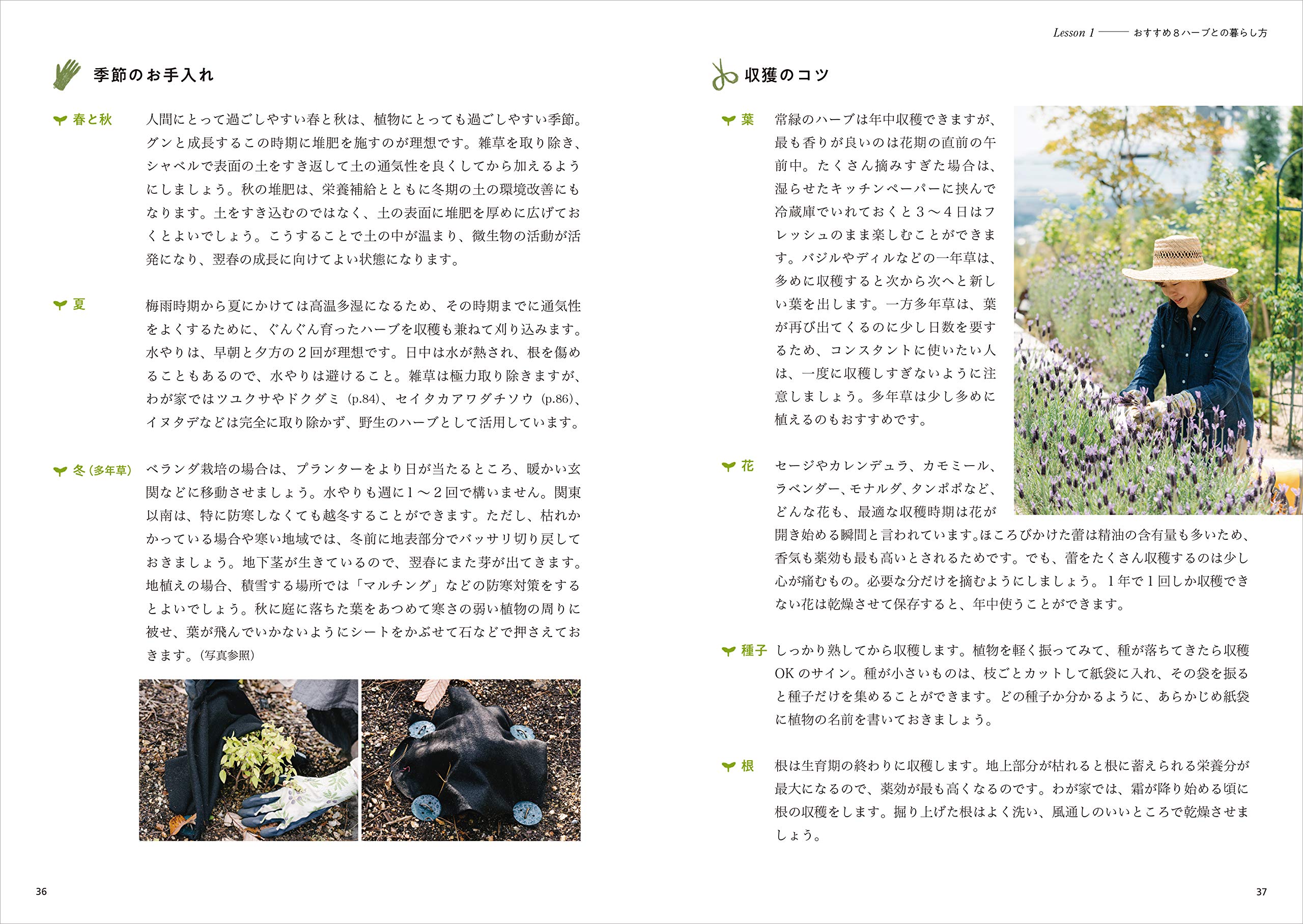 あした ハーブを植えよう 植物のチカラで家族を守るー Amazon Com Books