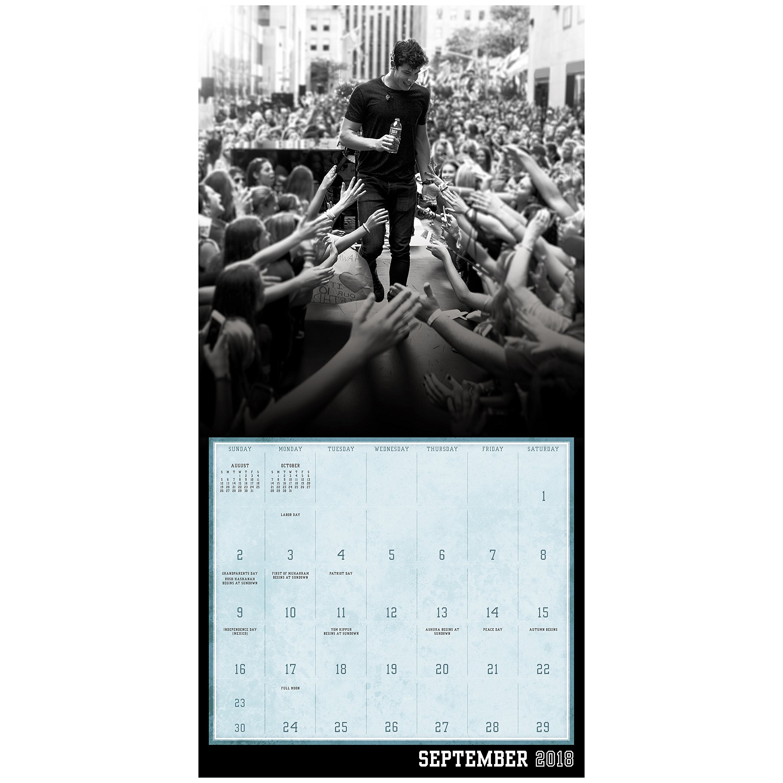 2018 Shawn Mendes Wall Calendar Day Dream Day Dream 0038576809581 Amazon Com Books