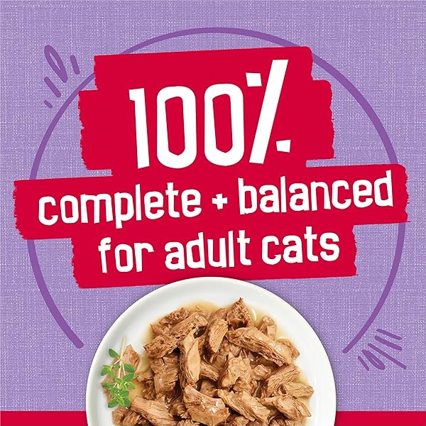 PURINA FRISKIES PRIME FILETS TURKEY DINNER IN WET CAT FOOD GRAVY – (PACK OF 24) 5.5 OZ. CANS