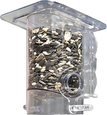 Amazon Com Perky Pet Window Bird Feeder 349 Stick To Window