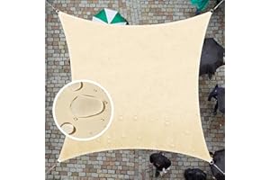 ColourTree Custom Size 9.5' x 9.5' Beige CTADS9.5 Rectangle Waterproof Sun Shade Sail UPF50 Canopy Awning Shelter, 95% UV Block Water Resistant, Garden Carport Outdoor Patio (We Customize)
