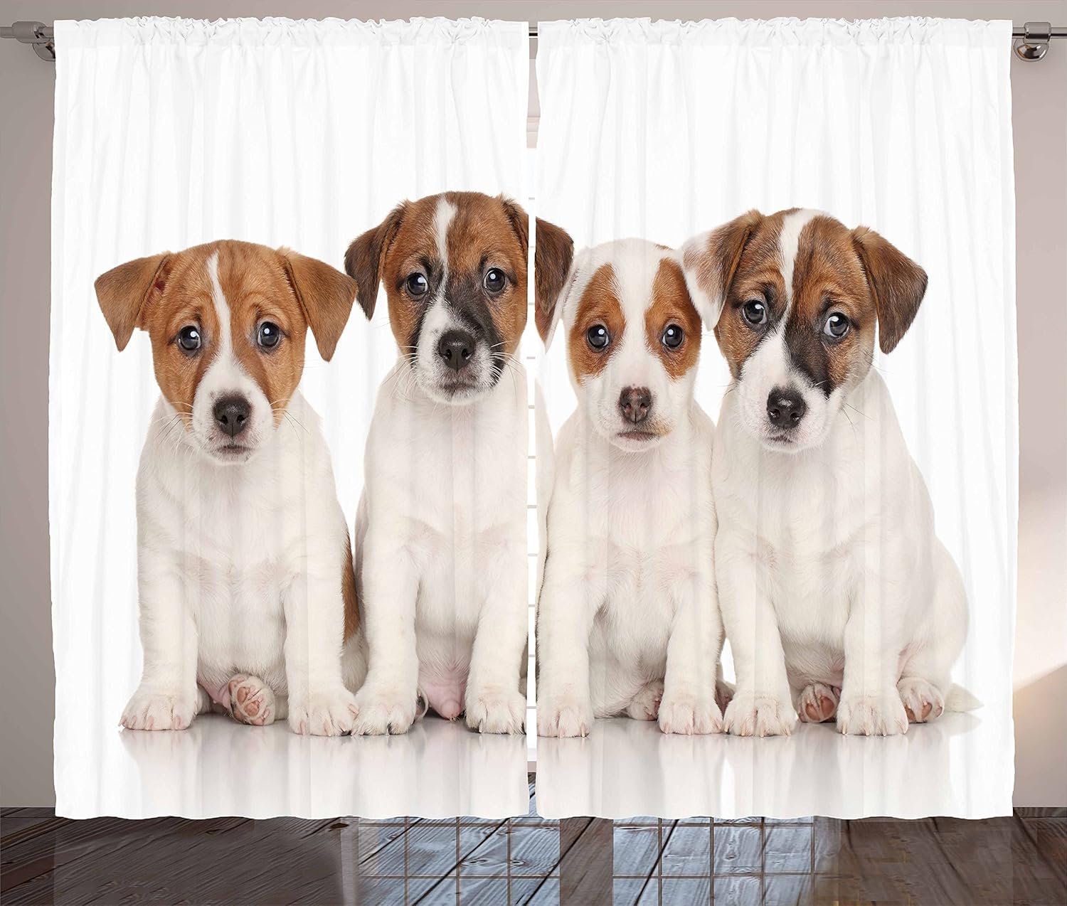 jack russell sanctuary