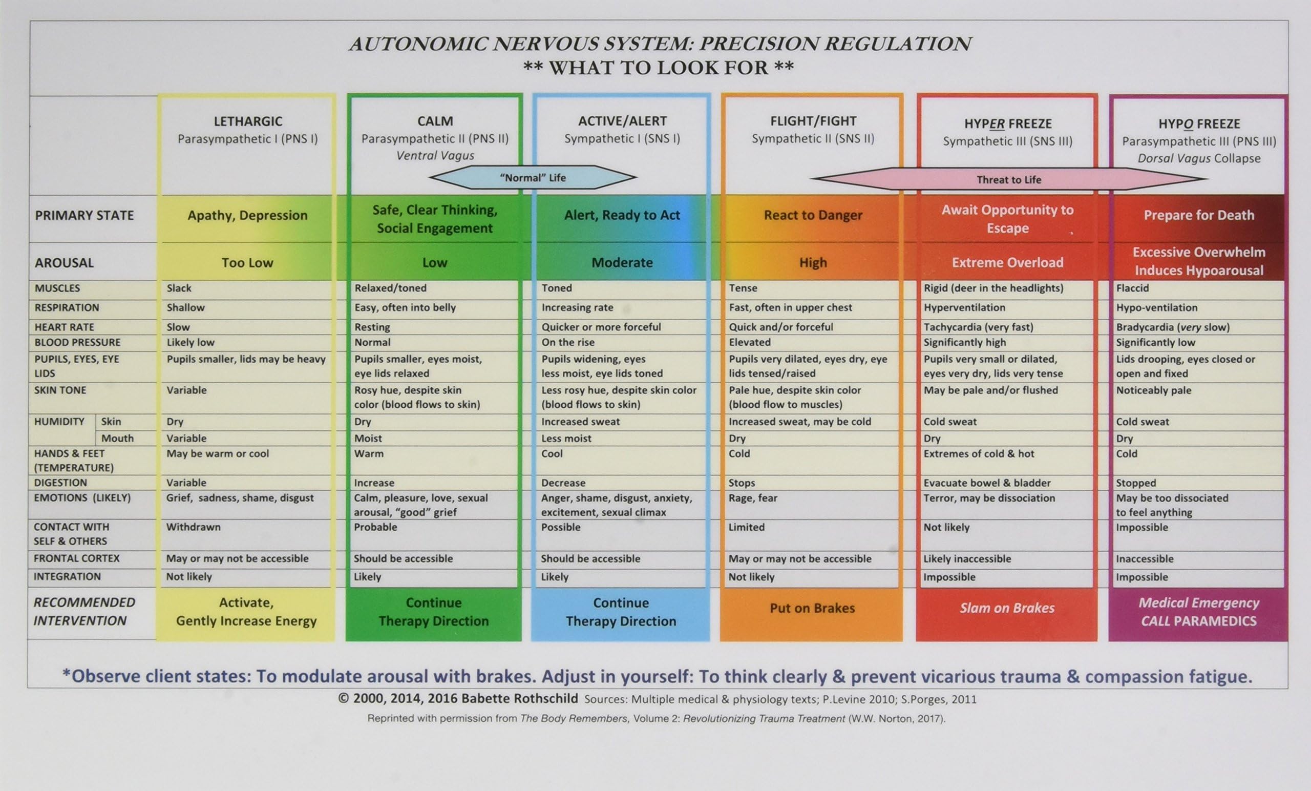 Autonomic Nervous System Table โ Laminated Card