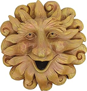 Red Carpet Studios Outdoor Faces, Sun Bird House