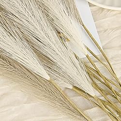 U-LIAN 36PCS Faux Pampas Grass 21.7 Inch, Small
