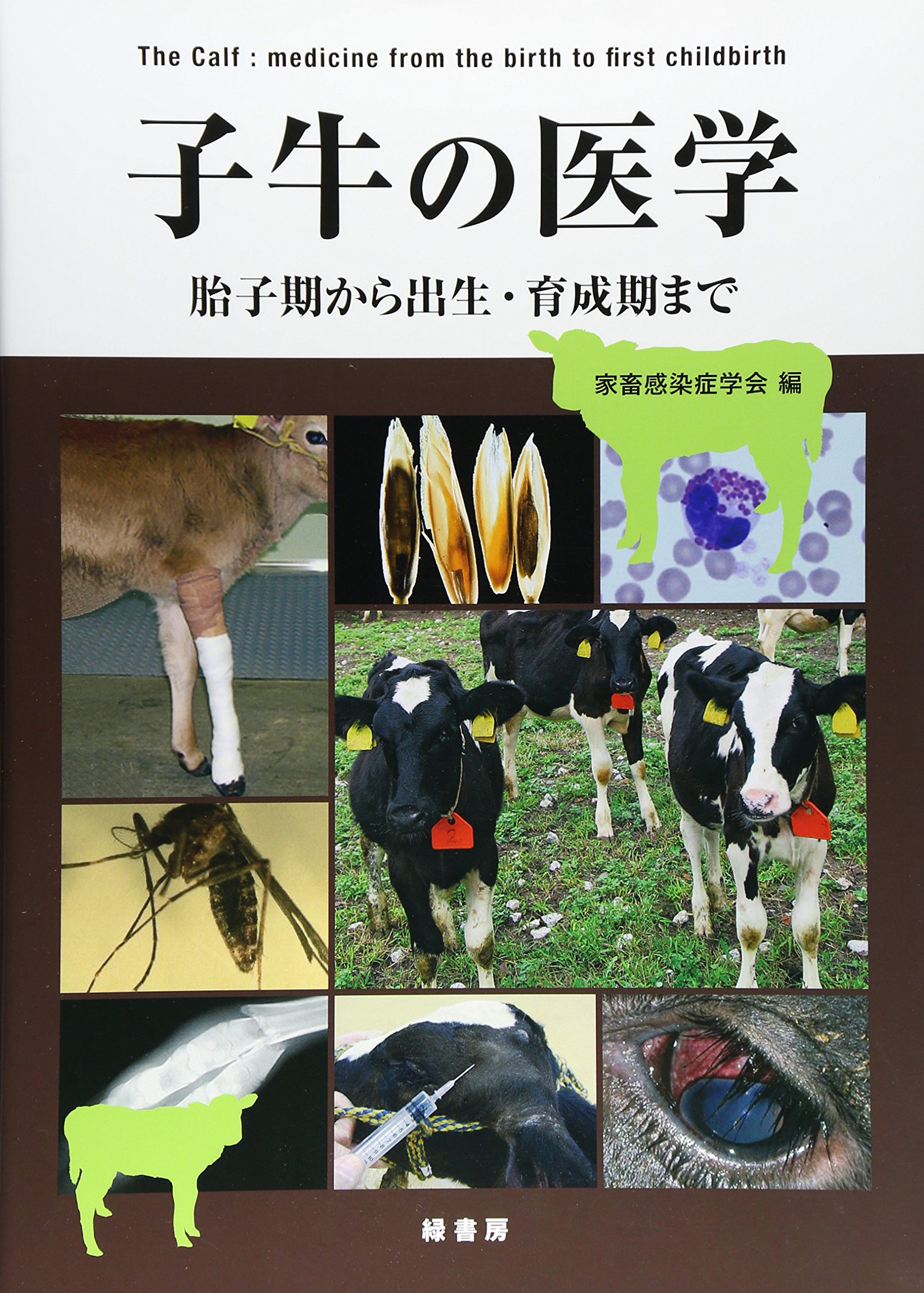子牛の医学 胎子期から出生 育成期まで 家畜感染症学会 本 通販 Amazon