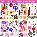 Cruzix 140 Pieces Dried Pressed Flowers for Resin DIY Crafts view 3