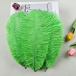 THARAHT Green Ostrich Feathers 24pcs Natural Bulk