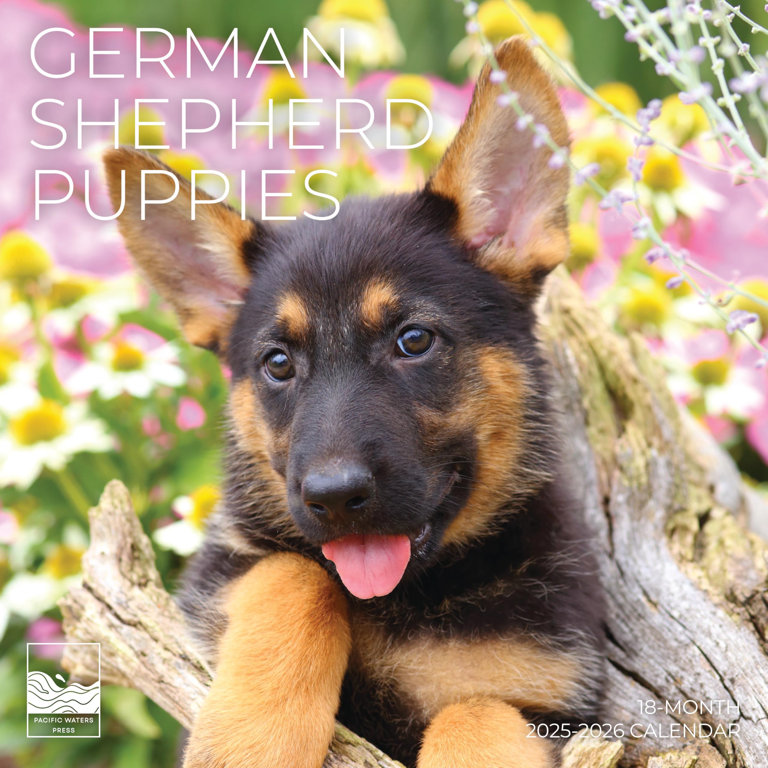 July 2025- December 2026 Wall Calendar 18 Month