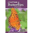 A Swift Guide to Butterflies of North America: Second Edition