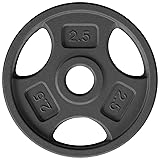 Yes4All 1 Inch Grip Cast Iron Weight Plates for