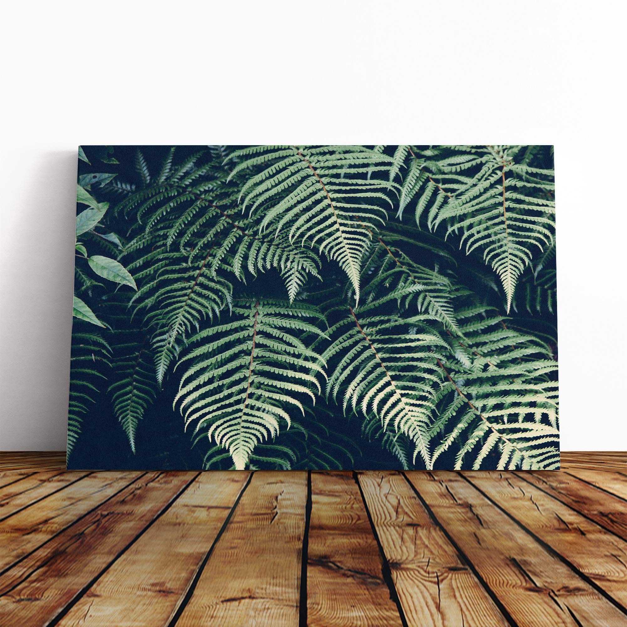 Fern Leafs Canvas Print | Gallery Wrapped 30mm Frame Wall Art | 20x14 inches | Ready to Hang | Modern Floral Picture | Living Room Bedroom Lounge Office