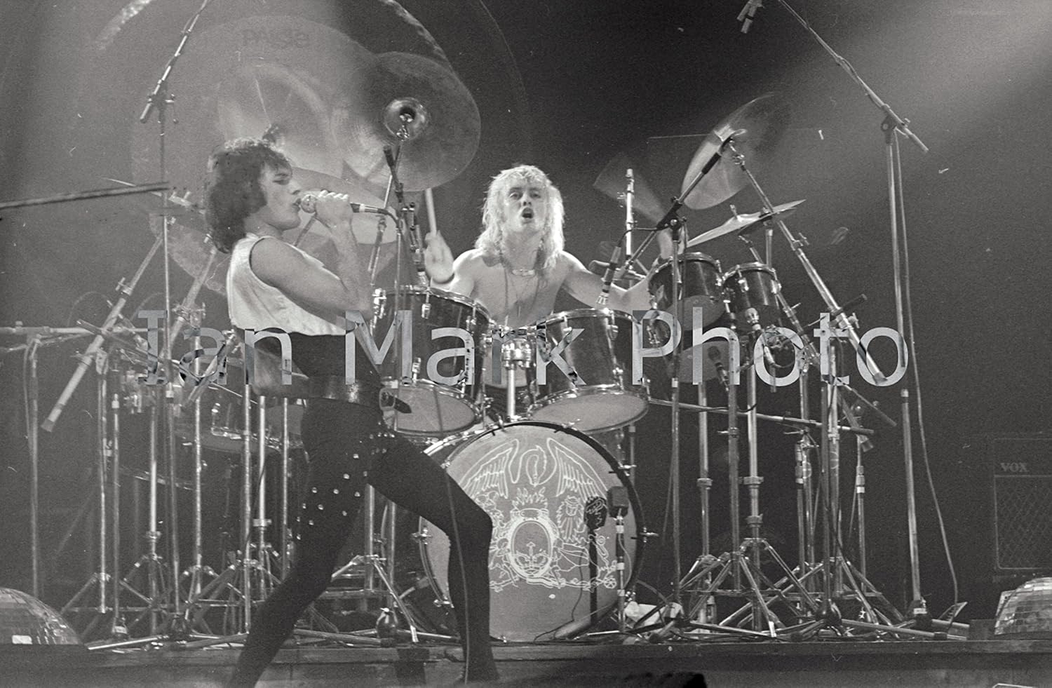 Photographs - Queen Variation (photo 4)