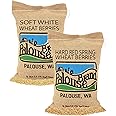 Certified Glyphosate Residue Free Hard Red Spring and Soft White Wheat Pack | 2-5 LB Burlap Bags (10 LBS Total) | Washington Family Farmed | Non-GMO Project Verified |
