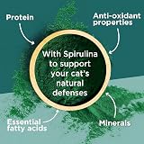Purina One DualNature Salmon Dry Cat Food 650g Pack of 8 view 4