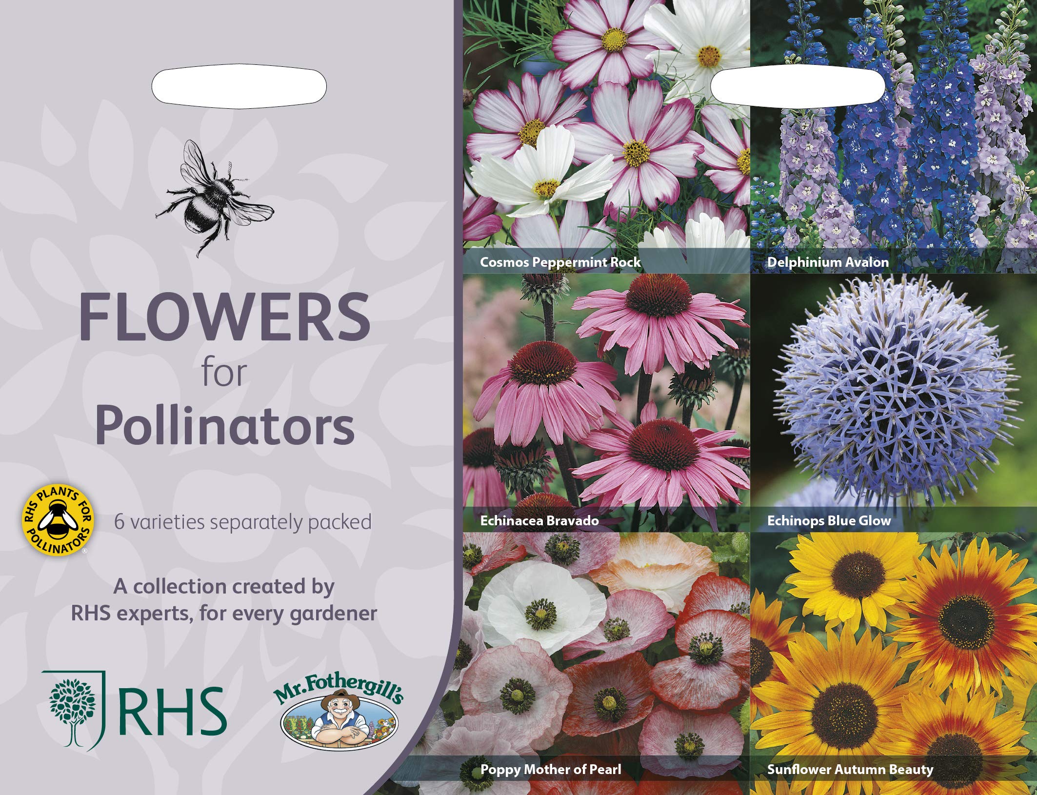Mr Fothergills RHS Flowers for Pollinators Collection Seeds