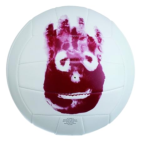 Wilson Beachvolleyball