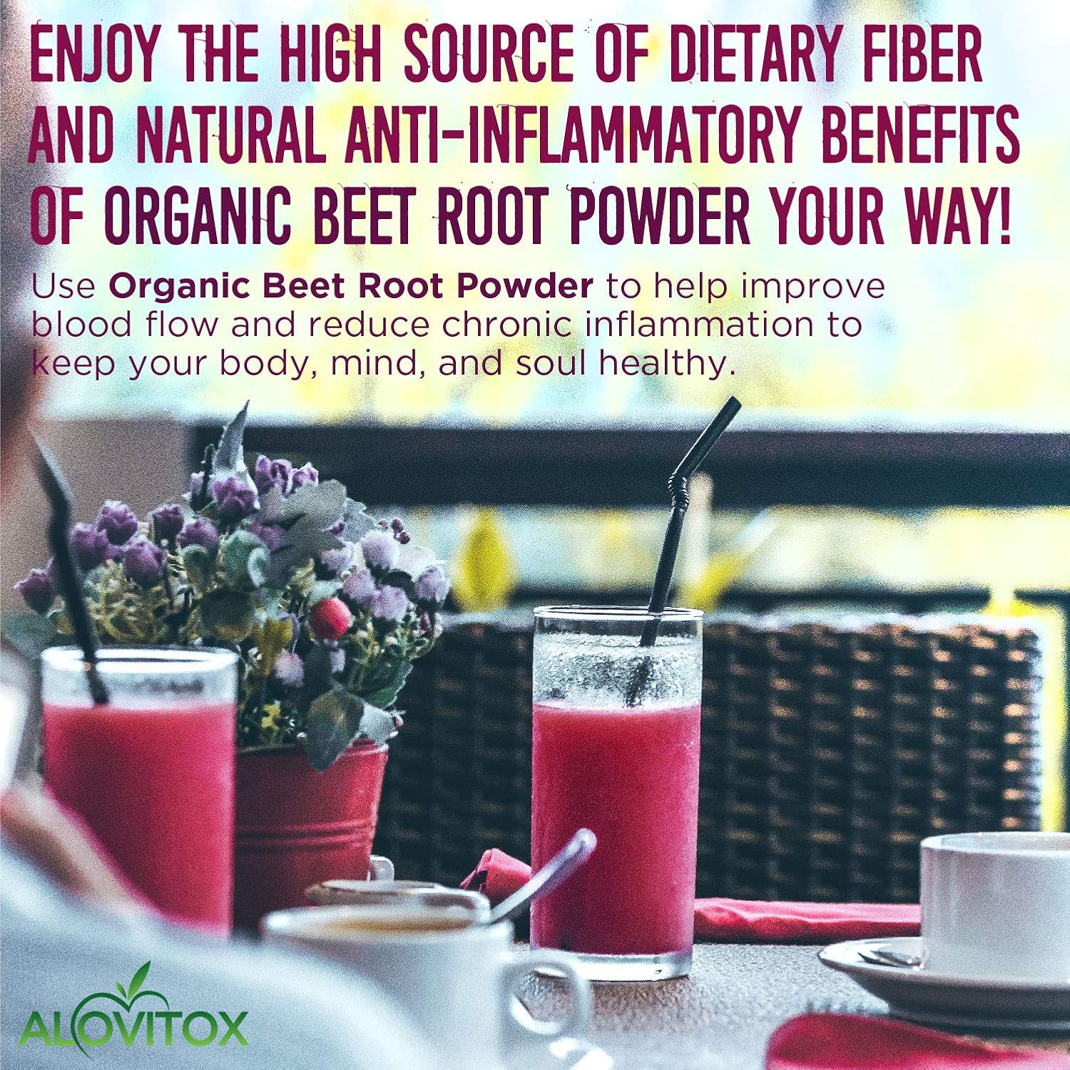 Alovitox Organic Beet Root Powder 16 oz Raw Vegan & Gluten Free (Beet Root Powder, 16 oz): Health & Personal Care