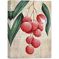 SIGNWIN Canvas Wall Art Purple Black Grapes with Branches and Leaves Fruit Plants Illustrations Impressionism Vintage Relax/Calm for Living Room, Bedroom, Office - 12x18 inches