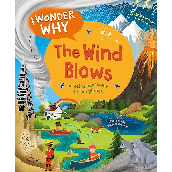 I Wonder Why Ultimate Collection: unknown author: 9780753447772