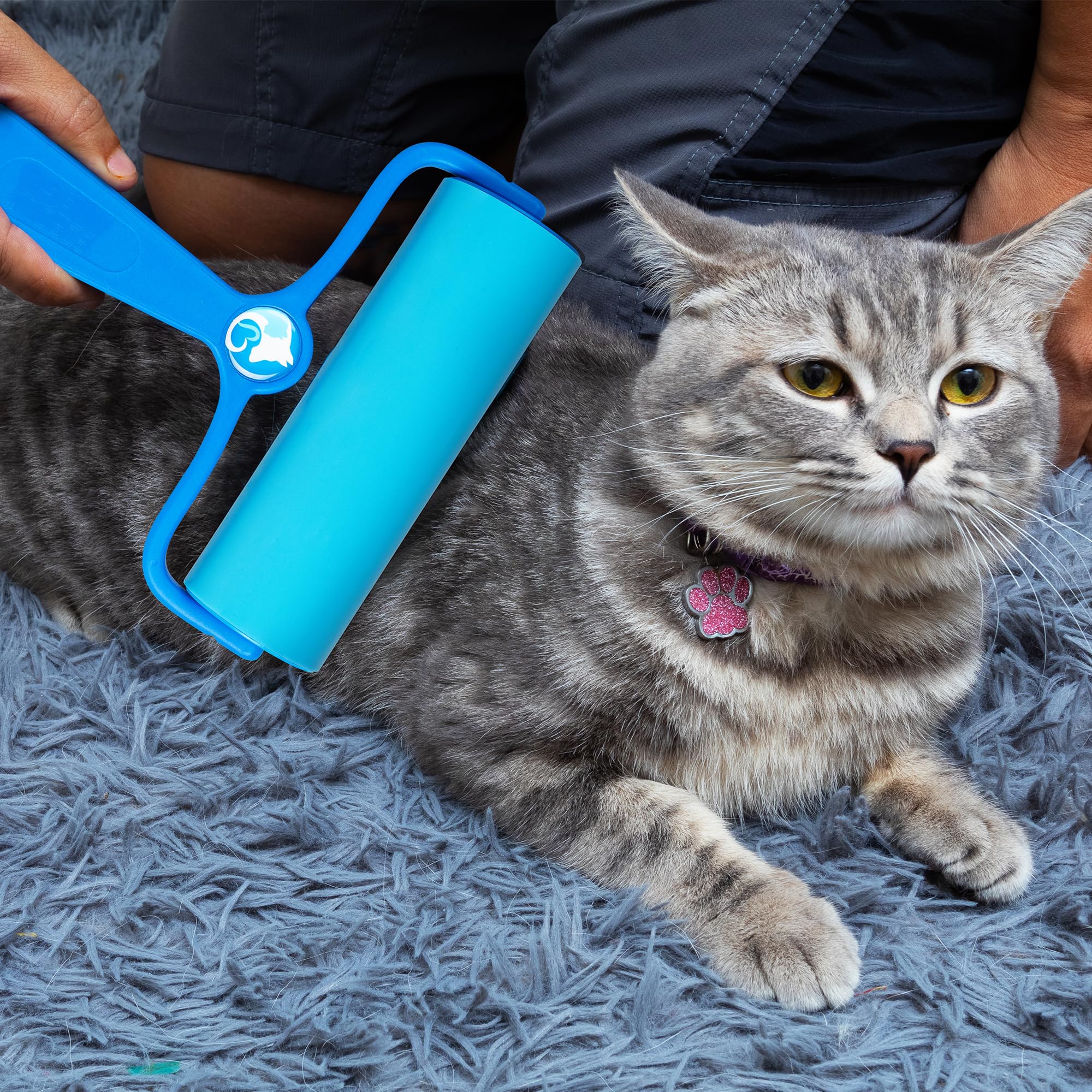 PetLovers 6.3