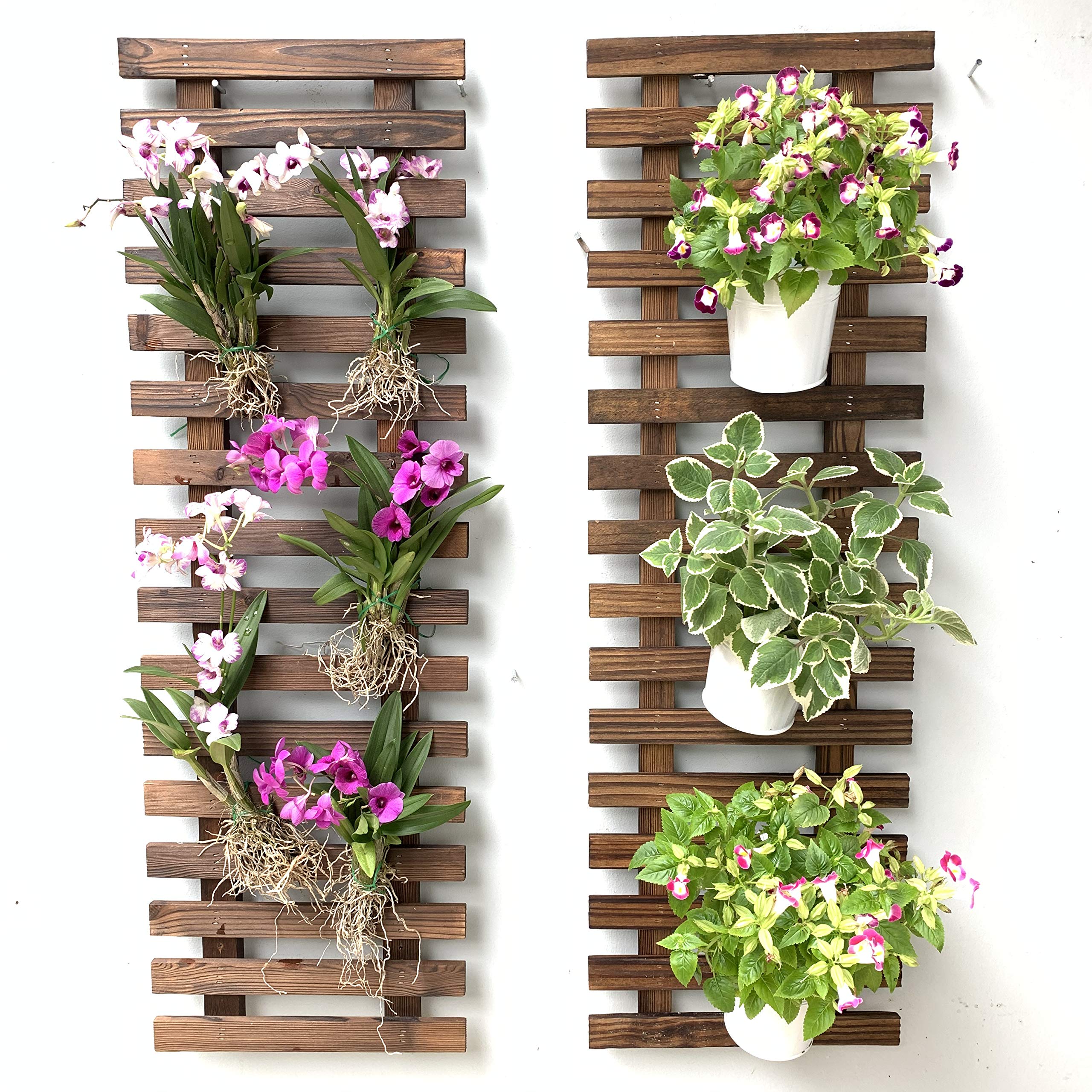 ShopLaLa Wall Planter-2 Pack Wooden Hanging Planters for Indoor Plants ...