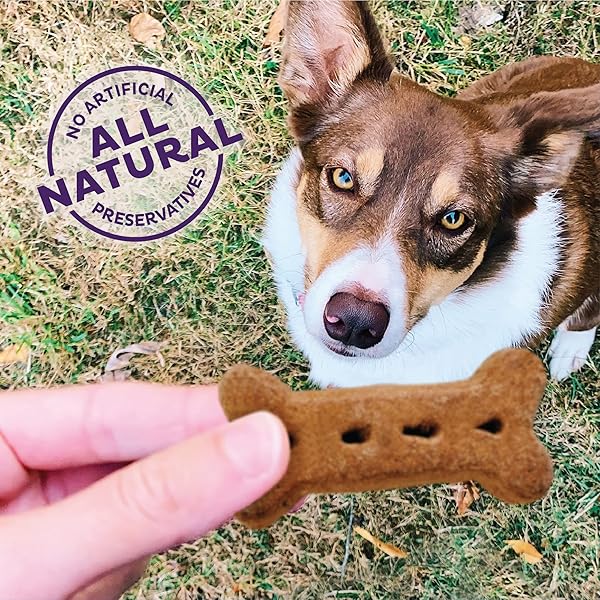 WELLNESS OLD MOTHER HUBBARD CLASSIC P-NUTTIER DOG BISCUITS, NATURAL TRAINING TREATS, PEANUT BUTTER FLAVOR, LARGE SIZE, 6 LB BOX