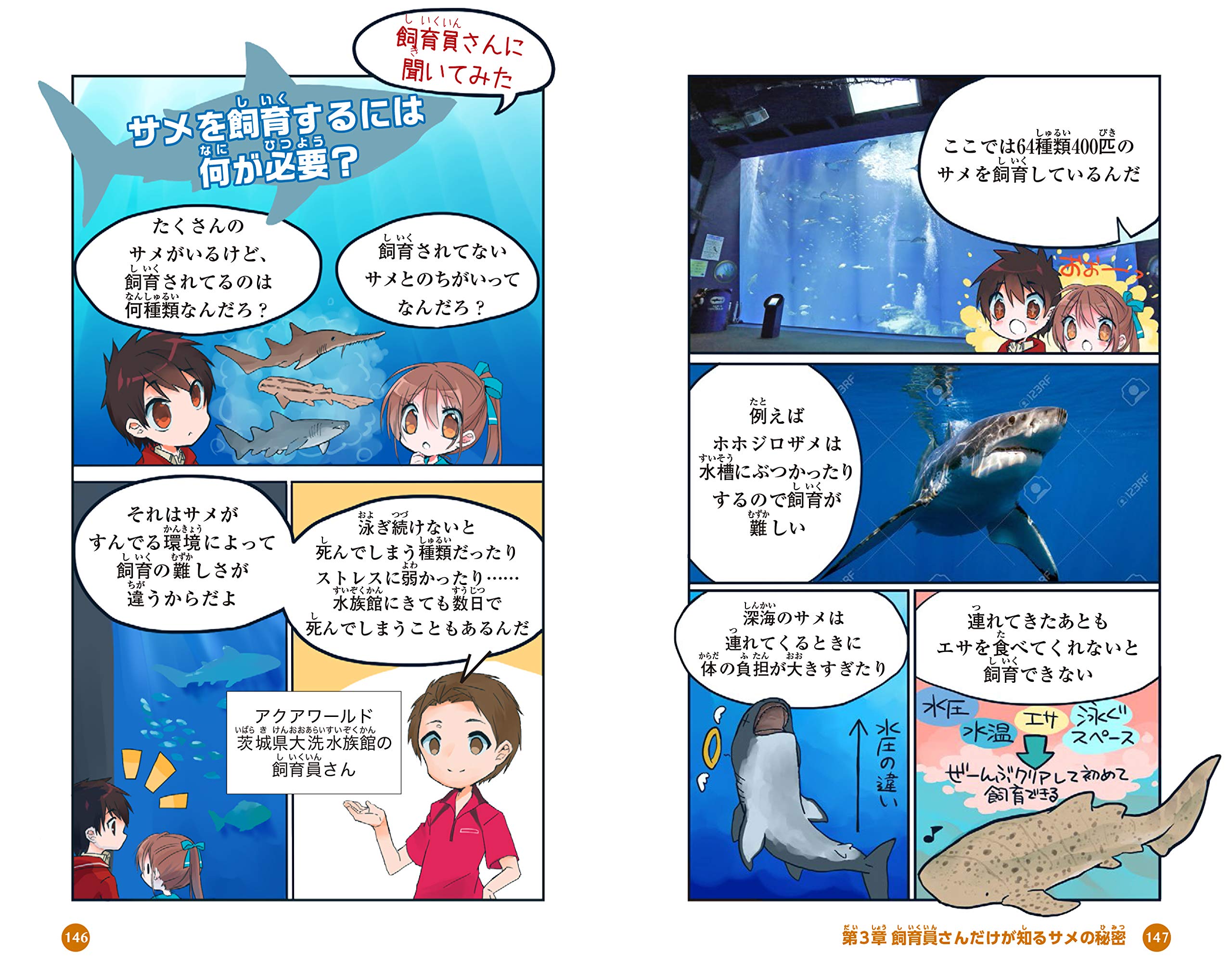 はじめてのサメ図鑑 水族館へ行こう 田中 彰 月刊アクアライフ編集部 本 通販 Amazon